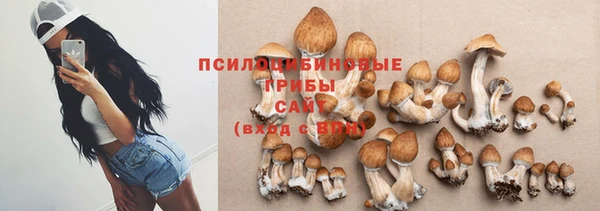2c-b Богородицк