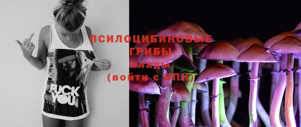 марки lsd Заволжье