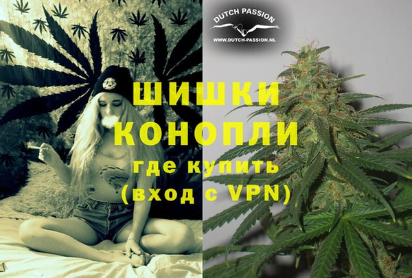 PSILOCYBIN Заводоуковск