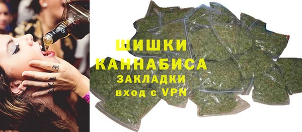 спайс Каменка