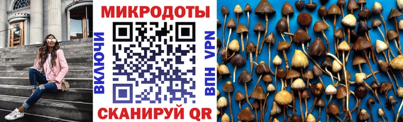 Галлюциногенные грибы ЛСД Меленки